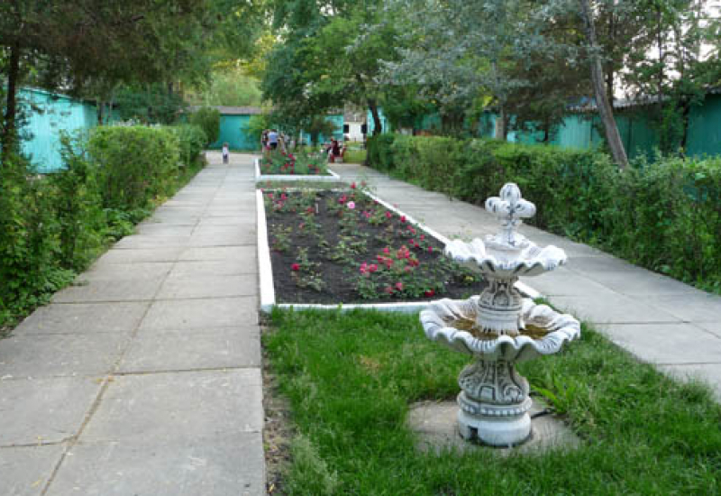 Atelika Oazis An 7